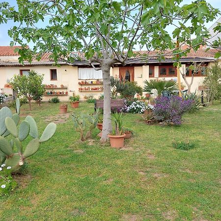 Garden Rooms Olbia Kültér fotó