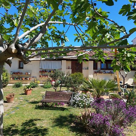 Garden Rooms Olbia Kültér fotó